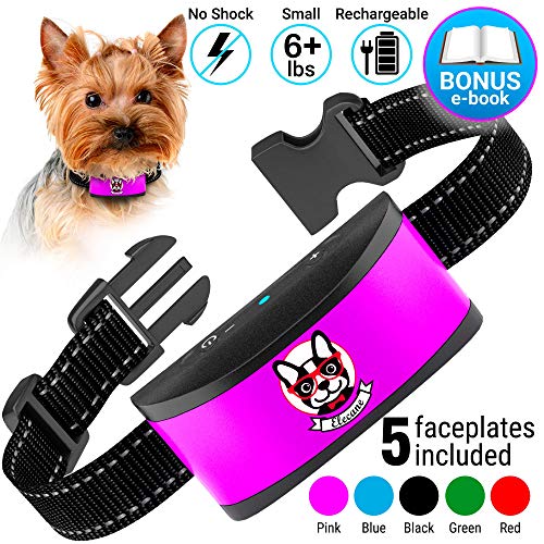 good n fun dog treats safe