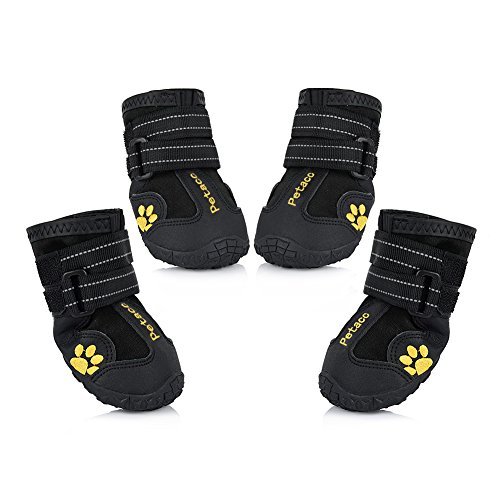 petacc dog boots