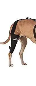How Much Is Acl Surgery For A Dog Dog Products Guide
