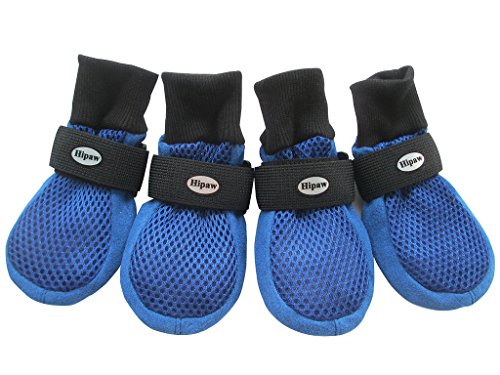 prumya dog boots