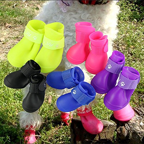 prumya dog boots