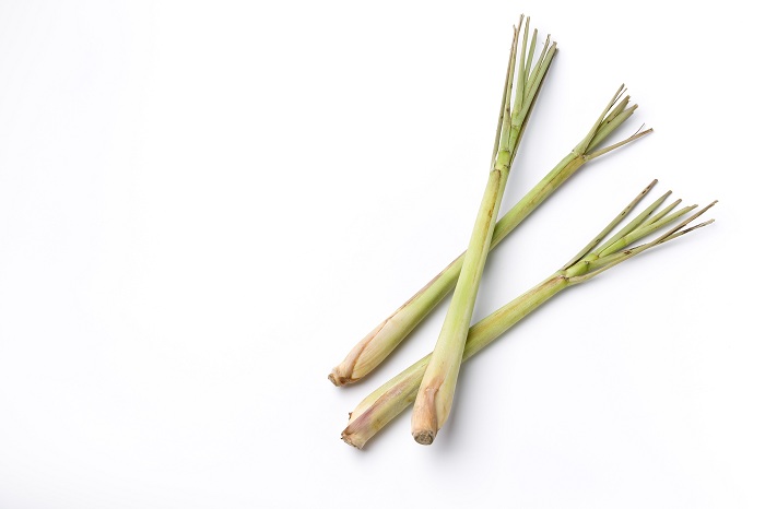 Three Pieces Of Fresh Lemon Grass On White Background with room for text