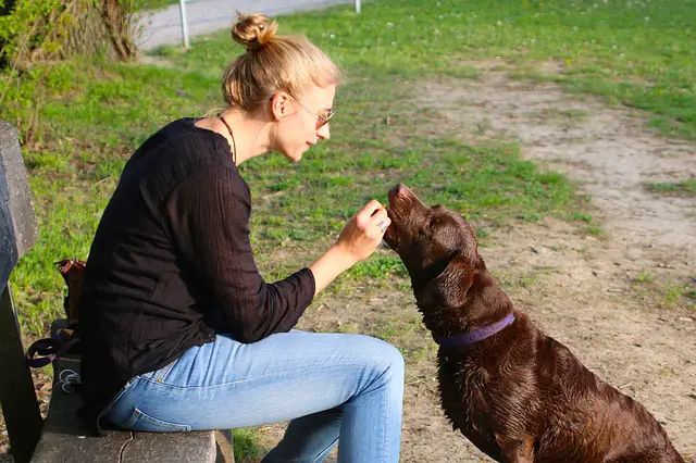 woman feeding dog