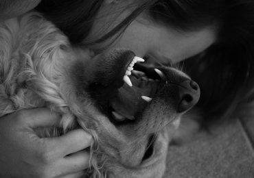 How Do You Know Your Dog Loves You?