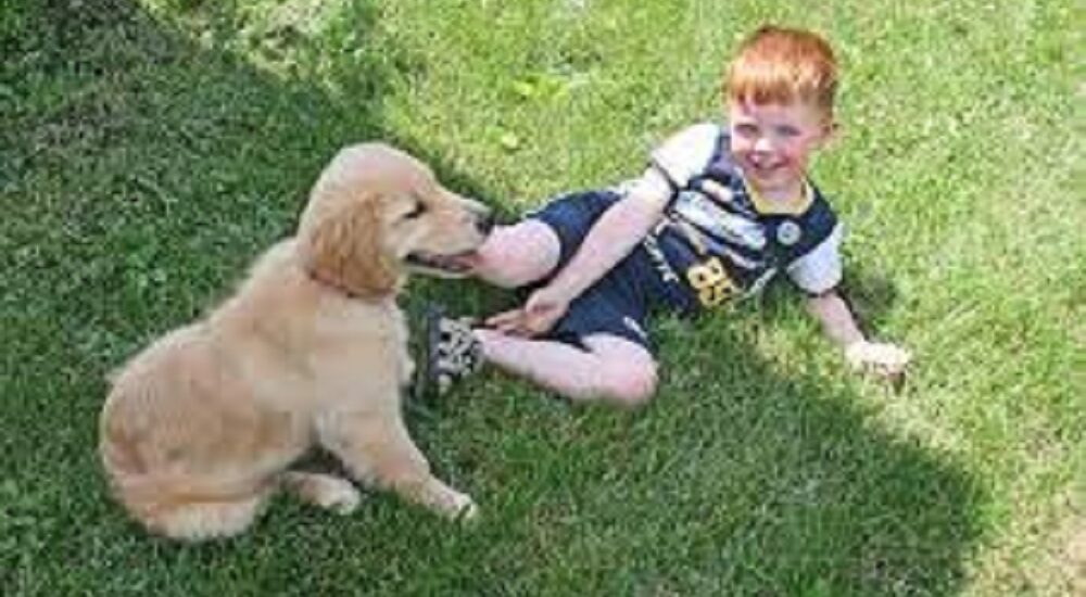 are golden retrievers good with kids