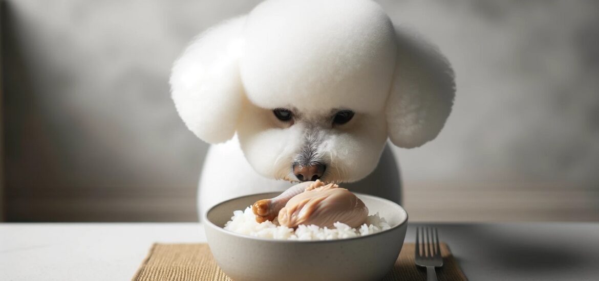 How to Get Your Dog to Eat More Food: 10 Easy Steps